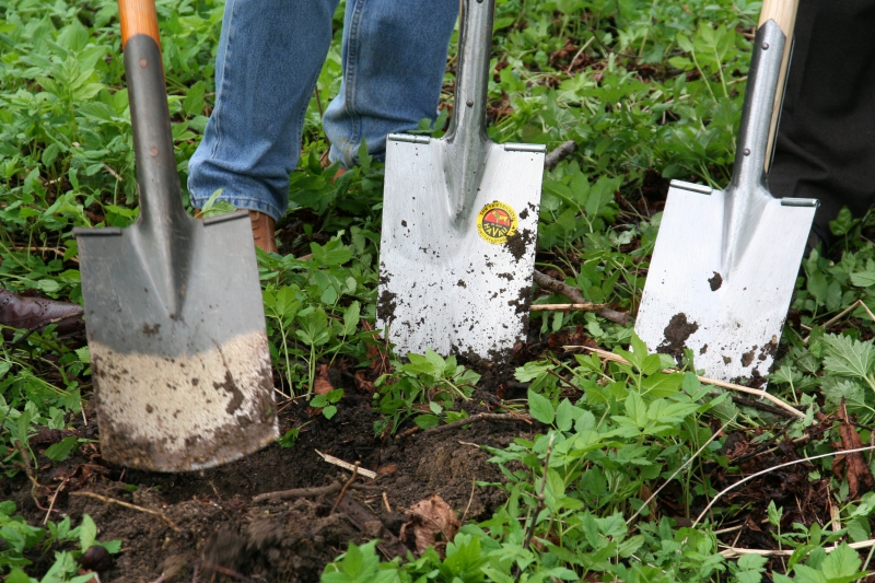 pepiniere-MALAUSSENE-min_work-lawn-flower-tool-green-backyard-1103633-pxhere.com